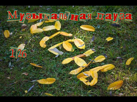 Видео: Музыкальная пауза № 126  Осень