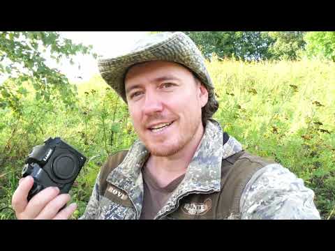 Видео: Panasonic Lumix DC-G9 II (G9М2) + Sigma 60-600 Обзор/Впечатление