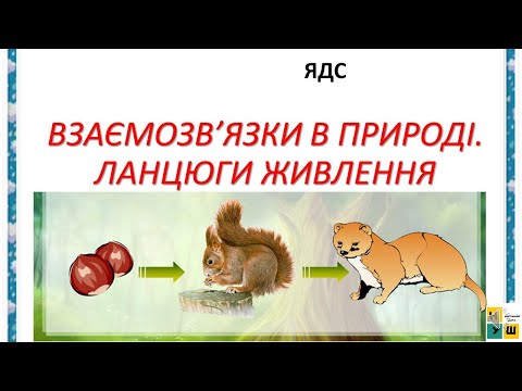 Видео: 72 ВЗАЄМОЗВ’ЯЗКИ В ПРИРОДІ  ЛАНЦЮГИ ЖИВЛЕННЯ