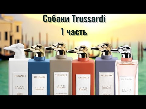 Видео: Бутиковая линейка Trussardi Pt.1 🫶🏻 Те самые собаки Trussardi. Разбираем на атомы🙌🏻.