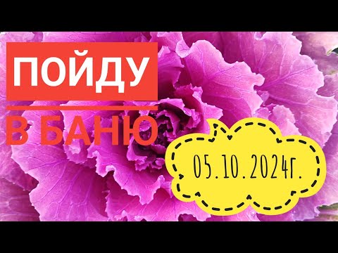 Видео: Пора делать баню/Опять черенкую#влог#огород#сибирь#дача#жизнь#я#мы#семья#цветы