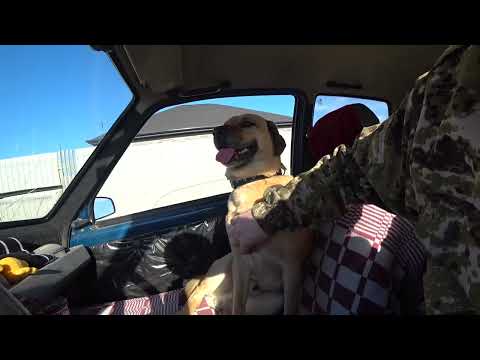 Видео: Переделываю крепление для столешницы, аргонная сварка