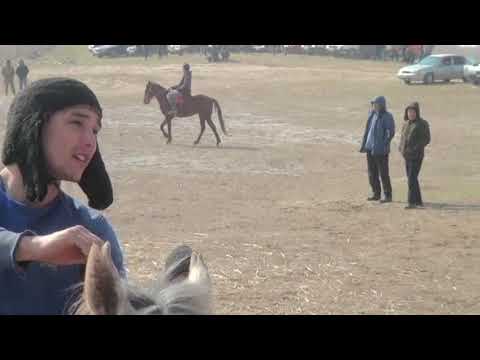 Видео: Ұзын ата мектеп түлектерінің 20 жылдық кездесуінің бата алу көкпар тойы. 26.02.2021 ж.