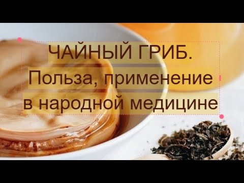 Видео: Чайный гриб.  Польза, применение в народной медицине