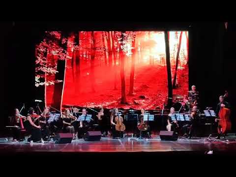 Видео: "Divenire" Ludovico Einaudi 19.07.2024 год