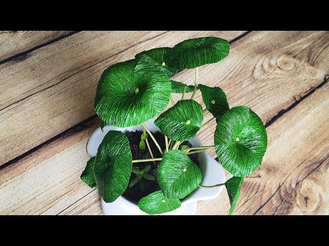 Видео: ABC TV | Как сделать китайский денежный завод из крепированной бумаги - учебник по ремеслу