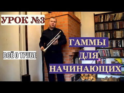 Видео: Всё о трубе. Урок №3. Гаммы для начинающих.