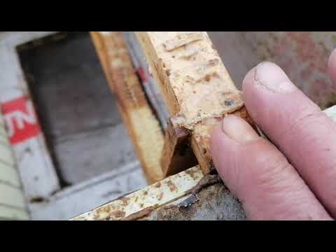 Видео: Обзор лежака и как с ним работать!