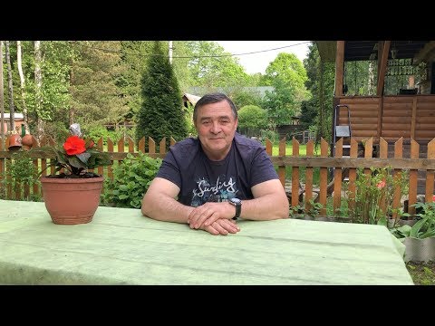 Видео: Размышление о дрессировке