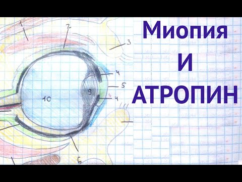 Видео: Миопия и атропин. Ответы на вопросы. Глеб Арсланов. Практика и данные исследований.
