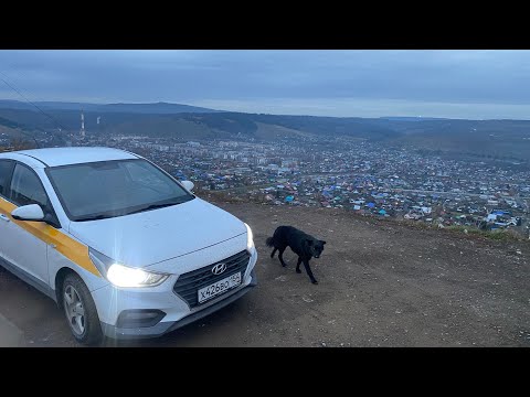 Видео: КОНСКИЙ ПРОБЕГ В ВЫХОДНЫЕ РАДИ ЧЕГО? 