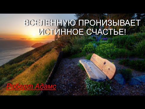 Видео: Вселенную пронизывает истинное Счастье [Роберт Адамс, озв. Никошо]