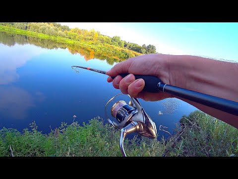 Видео: ЭТА ПРИМАНКА не оставит без РЫБЫ! Ловля СУДАКА на спиннинг! Рыбалка на джиг на щуку и судака 2022!