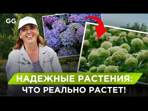 Видео: Почему ваши растения не выживают зимой и ЧТО посадить вместо них