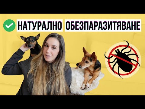 Видео: Натурално обезпаразитяване | Животът с куче