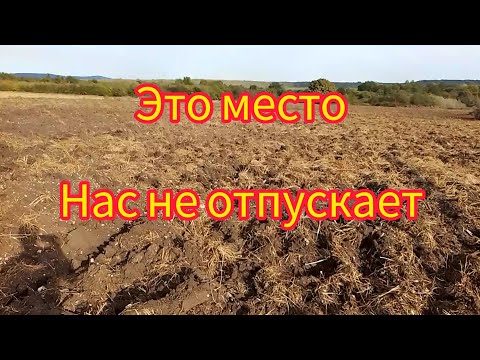 Видео: металлокоп, это место нас не отпускает.