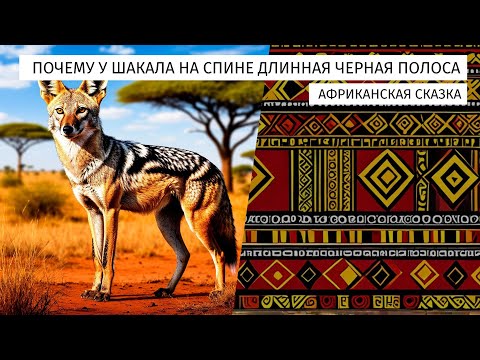 Видео: Почему у шакала на спине длинная чёрная полоса. Африканская сказка.