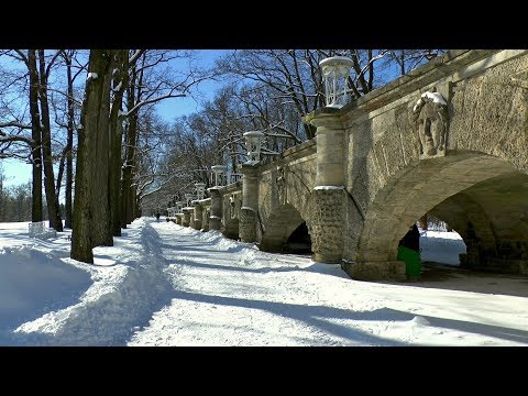 Видео: Зима не хочет уходить!