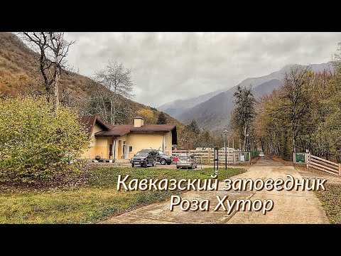 Видео: РОЗА ХУТОР. Кавказский заповедник. Стоит посетить. Ноябрь 23г.Rosa Khutor. Caucasian Nature Reserve.