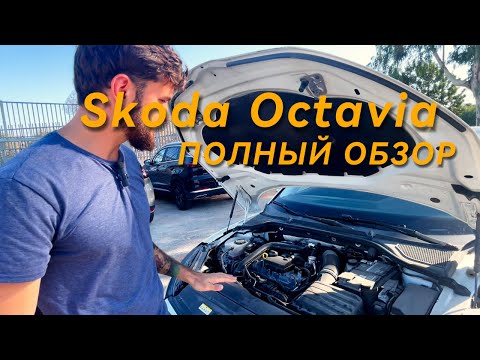 Видео: SKODA OCTAVIA ТЕСТ ДРАЙВ - ПОЛНЫЙ