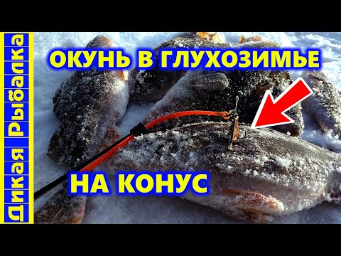 Видео: Эта СЕКРЕТНАЯ ДЕДОВСКАЯ снасть не оставит окуню шанса! Ловля окуня на конус. Зимняя рыбалка на окуня