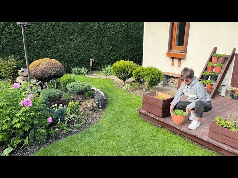 Видео: БУДЕ ВДВІЧІ БІЛЬШЕ! ПРИЩІПУЄМО І ВКОРІНЮЄМО!