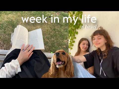 Видео: spend the week with me — искусство, учеба, и разные эмоции