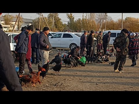 Видео: 3-НОЯБР/2024/ШЫМБАЙ ТАУЫК БАЗАРЫ/ДЕМ БЕРМЕС