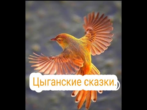 Видео: Фантастические цыганские сказки: "Жестокий царь", "Двенадцать ножей", "Ласточка", "Огурец". 🐦🦇
