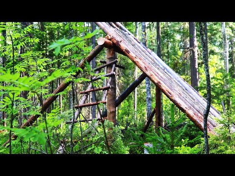 Видео: ПОСТРОЙКА ЛЕСНОЙ ХИЖИНЫ В ГЛУХОЙ ТАЙГЕ, ТАЁЖНЫЙ БЫТ.