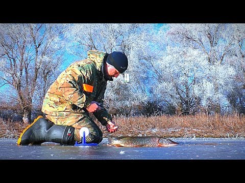 Видео: ЖЕРЛИЦЫ НА ЩУКУ. Первая рыбалка 2020. ЧУДЕСНОЕ январское утро.