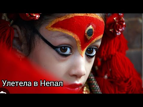 Видео: Я улетела из Индии в Непал. Рупак ждёт меня в аэропорту. Полицейская собака проверяет мой багаж.
