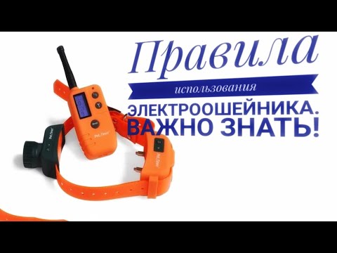 Видео: Как использовать электроошейник.  Правила использования. Очень важно знать!