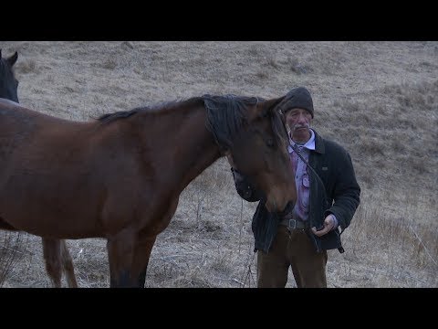 Видео: Æрхон. Фæрдгуытæ