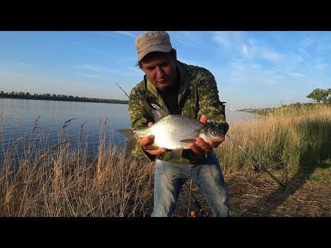 Видео: Рыбалка с Берега на Реке Волге Ловля Подлещика на Донку Закидушку