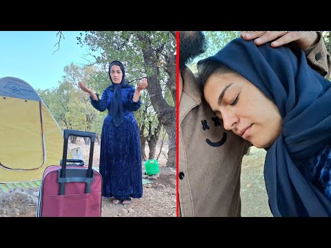 Видео: Когда любовь побеждает разум: невероятное решение оператора!