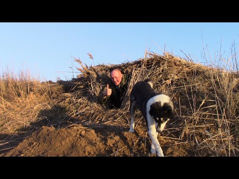 Видео: Выживание в степи , выкопал себе землянку и переночевал в ней !