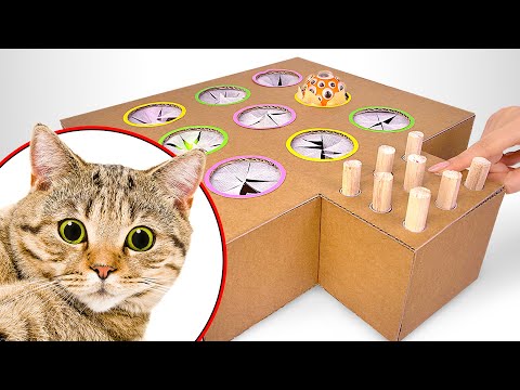 Видео: Как сделать кошачью игру «Поймай крота» из картона