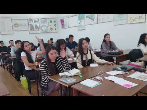 Видео: СЕМИНАР 4 Дидактика