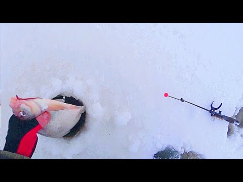Видео: ЗИМНЯЯ РЫБАЛКА НА БОЛЬШОЙ РЕКЕ . СЛОМ ПОГОДЫ . ПОДЛЕДНЫЙ ФИДЕР . ДВА ДНЯ НА РЕКЕ .