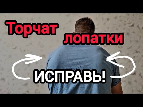 Видео: Торчат лопатки? Исправь это!