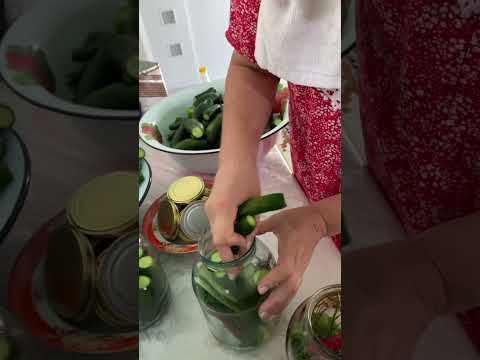 Видео: Банка жабу📽️🥰💕