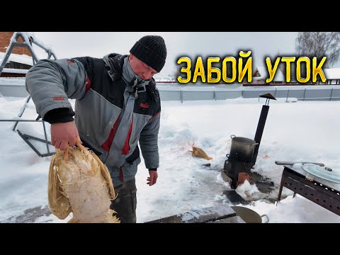 Видео: Как Серёжа Головорез уток ощипывал 🦆 Забой уток.