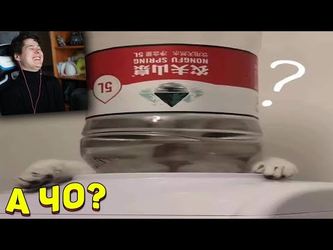 Видео: 7 МИНУТ СМЕХА | ЛУЧШИЕ ПРИКОЛЫ ОКТЯБРЬ 2020 ПОПРОБУЙ ЗАСМЕЯТЬСЯ ЧЕЛЛЕНДЖ ЗАСМЕЯЛСЯ ПРОИГРАЛ