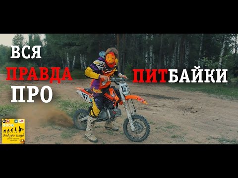 Видео: ВСЯ ПРАВДА ПРО ПИТБАЙКИ.