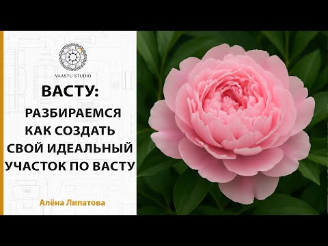 Видео: Васту - Как создать идеальный участок по Васту? | Архитектурное закулисье  ч.2.