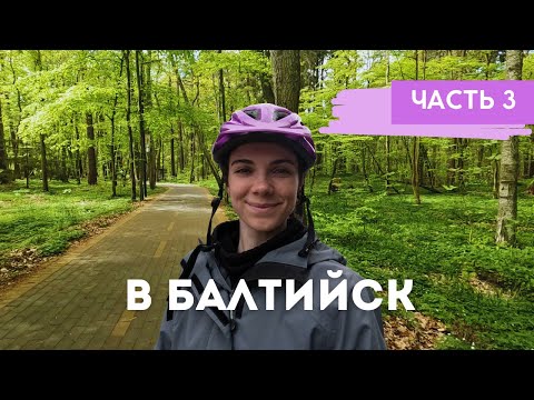 Видео: По уютной велодорожке — Светлогорск, Янтарный, Балтийск / Калининградская область на велосипеде