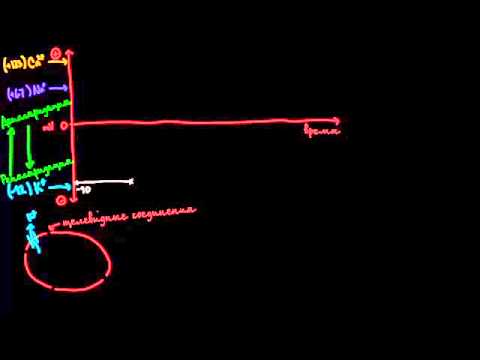 Видео: Потенциал действия кардиомиоцитов