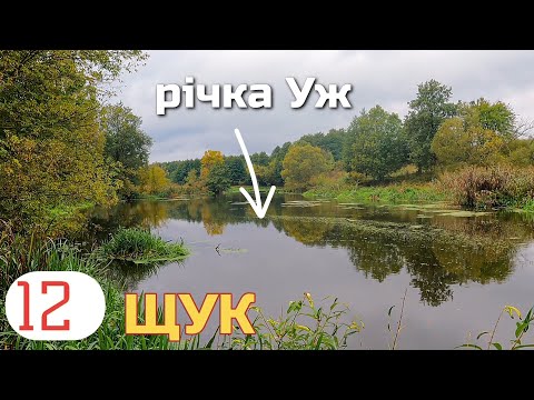 Видео: Весь день дощить,а Трофей не спить-На 1 проводку 3 Покльовки