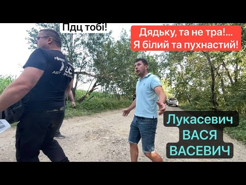 Видео: ЯК КРАДУТЬ ДУБ В КАРПАТАХ?!...